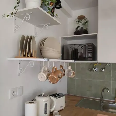 Hospedagem Florescer Porto Alojamento Local Апартаменты Вила-Нова-ди-Гая