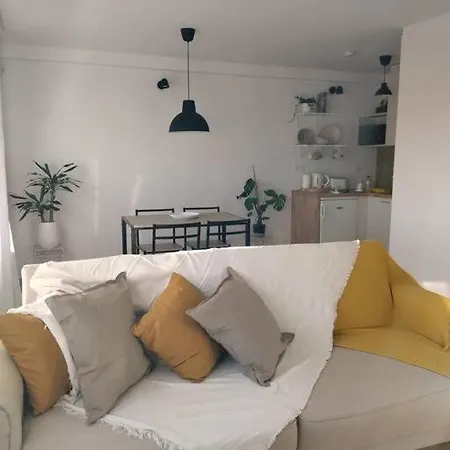 Hospedagem Florescer Porto Alojamento Local Апартаменты Вила-Нова-ди-Гая