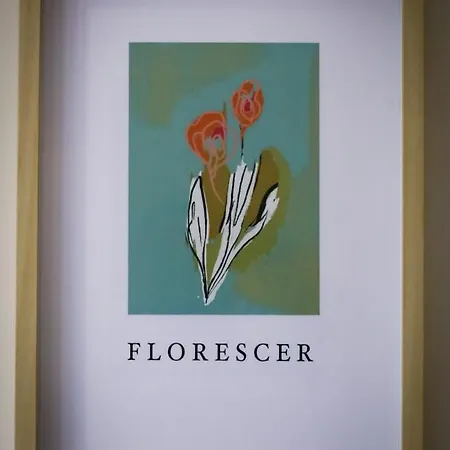Hospedagem Florescer Porto Alojamento Local * فيلا نوفا دي غايا